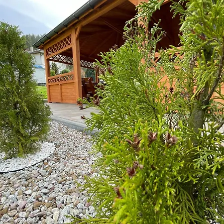 Pieniny 公寓 什恰夫尼察